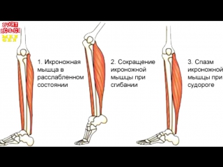 seizures and bodybuilding