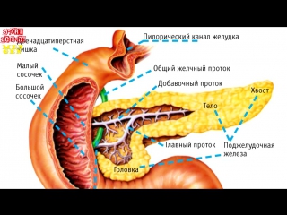 pancreatitis and sports