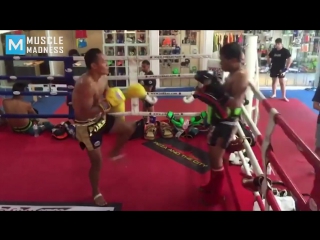 muay thai monster - saenchai muscle madness