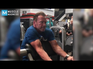 arnold schwarzenegger - age is just a number muscle madness