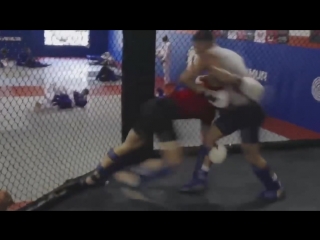 jorge masvidal mma training