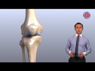 doctor sport "anatomy of the knee joint"