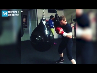 canelo training for chavez jr. muscle madness