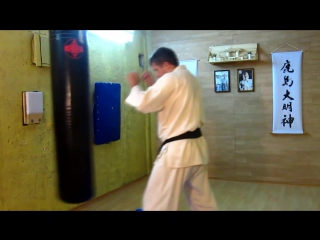 hizo geri knee strike hizo geri kyokushin karate kyokushin karate muay thai mma kung fu