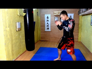 hard low kick mawashi geri gedan kyokushinkai karate mma muay thai boxing low kick