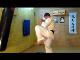 mae geri , front kick , strong kick type mae geri kyokushinkai karate kyokushinkai karate