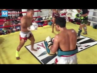 muay thai cyborg - saenchai muscle madness