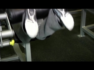 lying leg curls - leg exercise