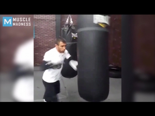 vasyl lomachenko boxing training highlights muscle madness