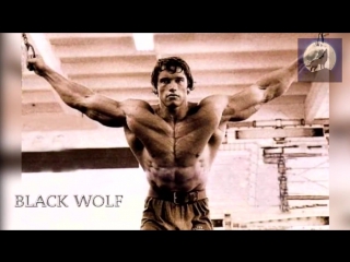 arnold schwarzenegger's best grudak in bodybuilding history - bodybuilding motivation