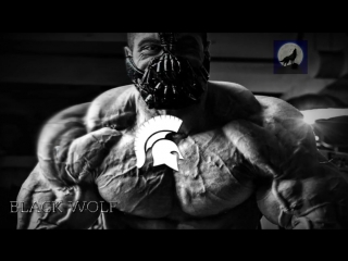 top 5 tracks for awesome pampa music for training - bodybuilding motivation