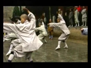 warriors of the world. wushu.