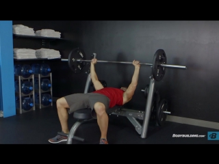 barbell bench press medium-grip exercise guide